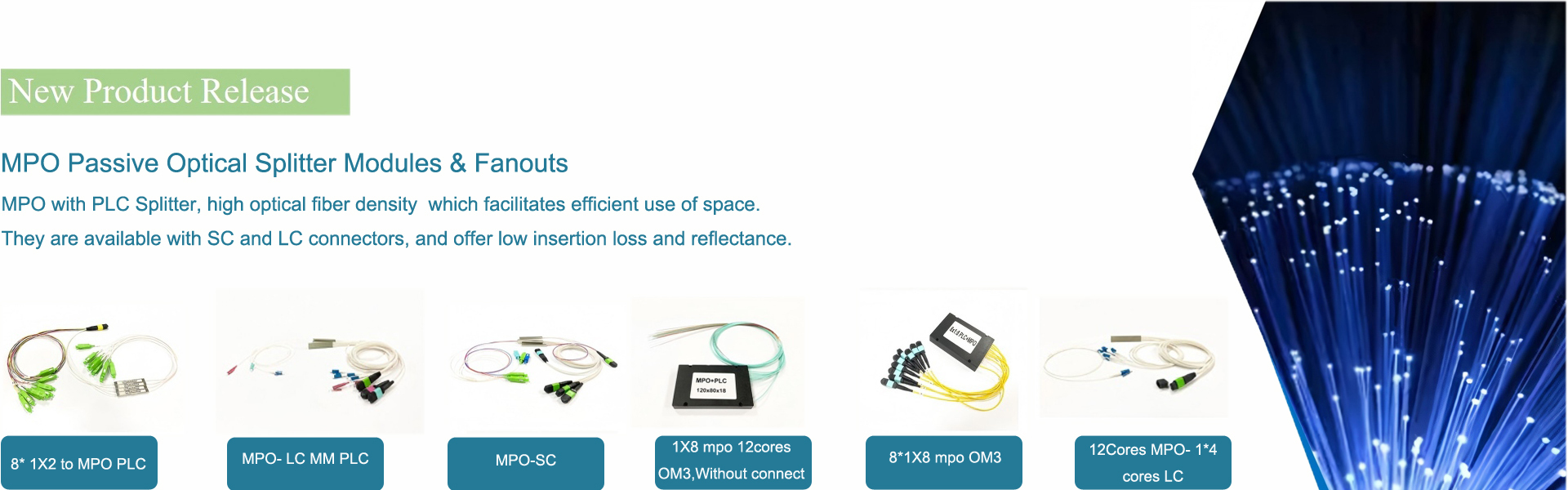 Kwaliteit Fiber Optic Beëindiging Box fabriek