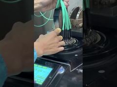 12 vezels OM3 10Gig MTP MPO-kabel, trunkkabel MPO - MPO 12 FO OM3 15 Mts