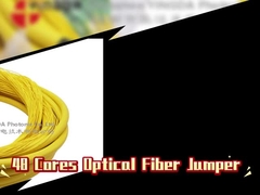48 kernen optische vezel Jumper Distributie Patch Cord Fanout Met LC APC
