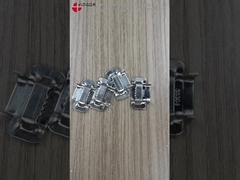 Oortanden roestvrij staal gesp voor SS bandstrips SS304 SS201 3-25mm