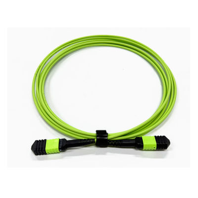 kopen Hoge dichtheid 12 cores Multimode OM5 100G Glasvezel MPO tot MPO kabel type B voor glasvezelcommunicatiesysteem online vervaardiging